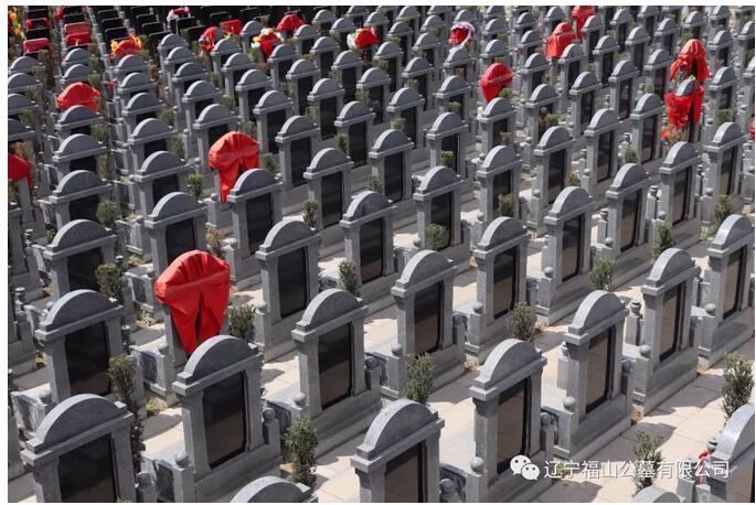 1547431987243020.jpg 6.jpg