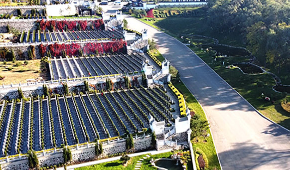 抚顺墓园，抚顺公墓，抚顺墓地，福山公墓鸟瞰图