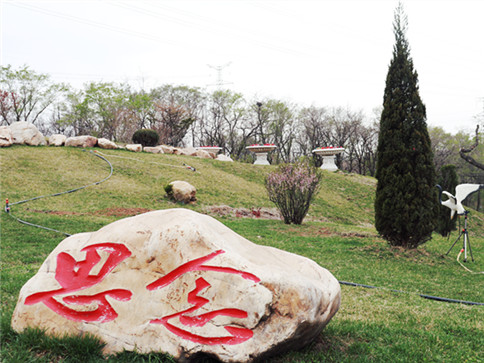 1677830999910359.jpg 3.jpg