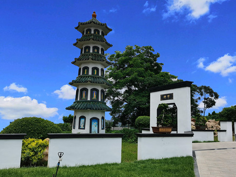 1677831010518517.jpg 4(3).jpg