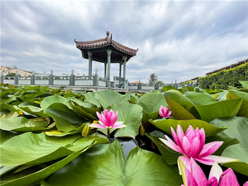 1679019094598806.jpg 抚顺墓园.jpg