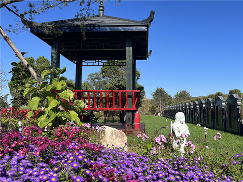 1681106317447547.jpg 抚顺墓地